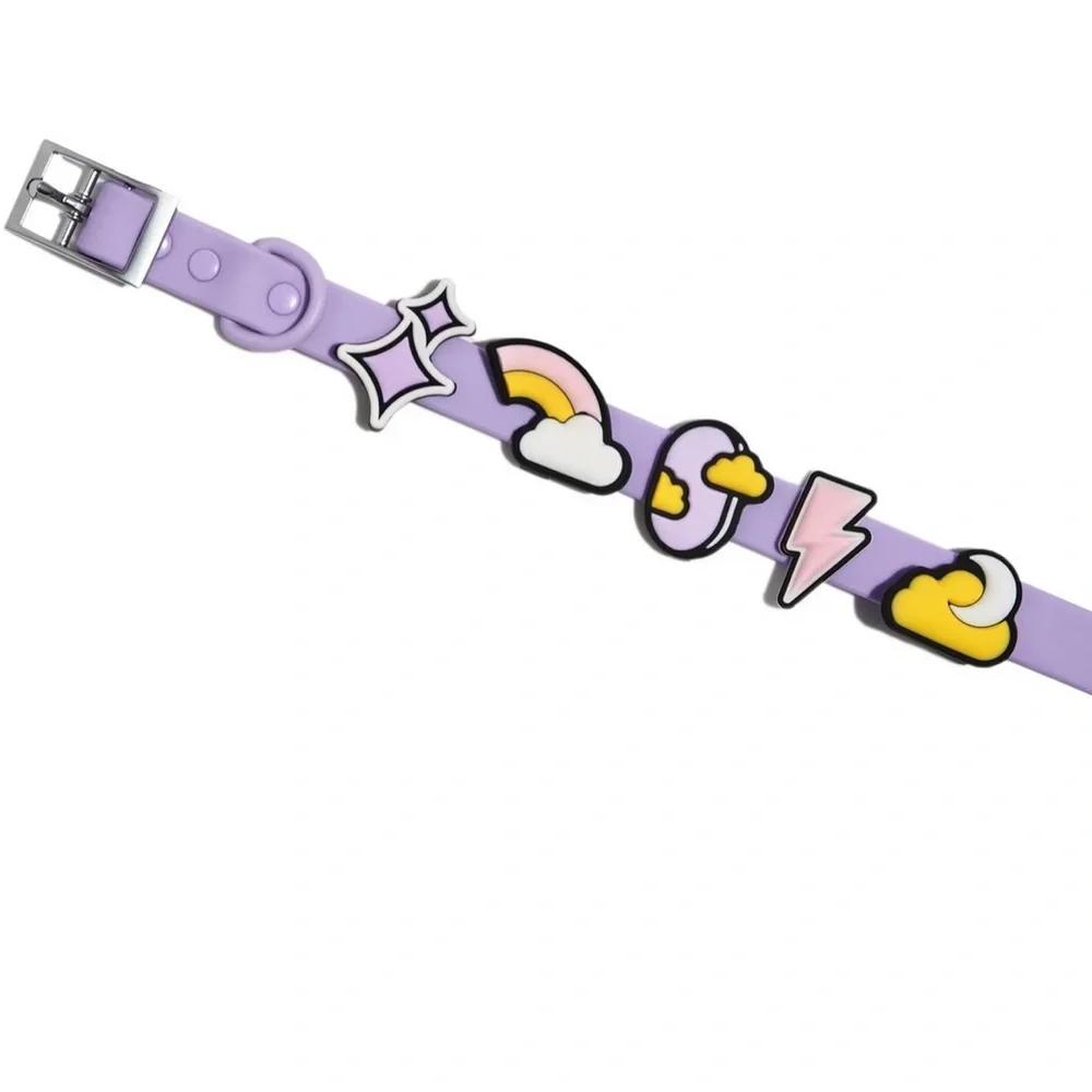 Wild One Leash & Collar Flair charms XS/S Mini